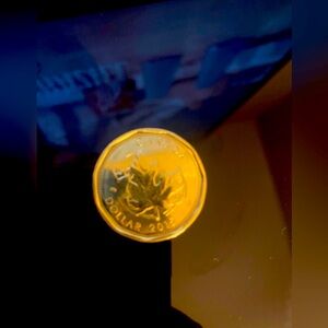 VGC CIR Special Edition Rare OH CANADA Maple Leaf Loonie Circa 2015!!!